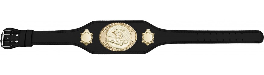 MMA CHAMPIONSHIP BELT-BUD295/G/MMAG-4 COLOURS